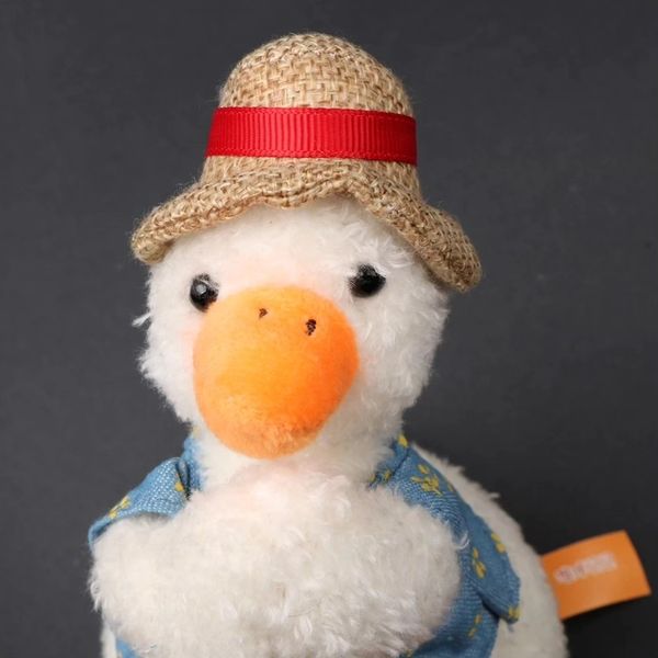Peluche Patito Juan 🦆