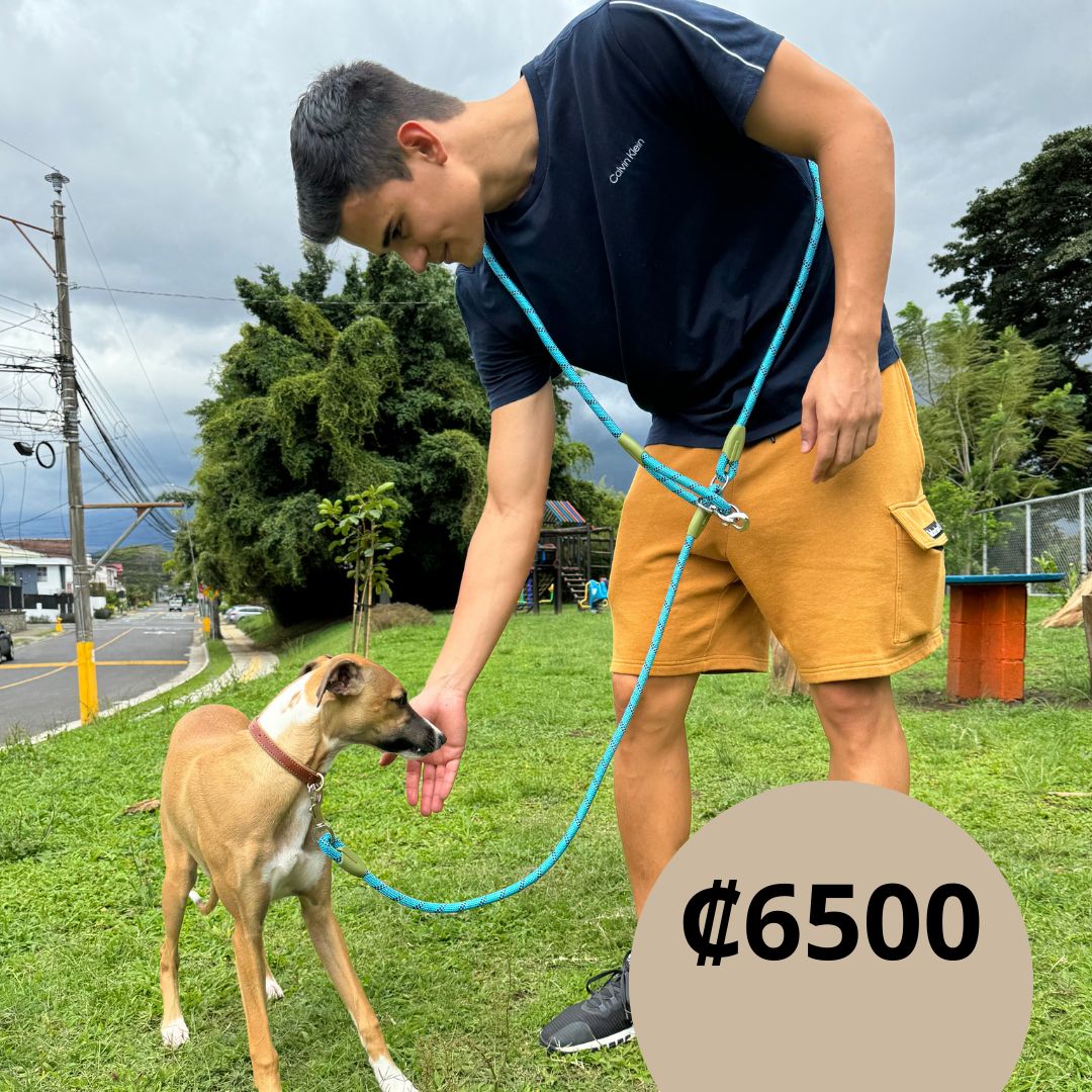 Correa para mascotas