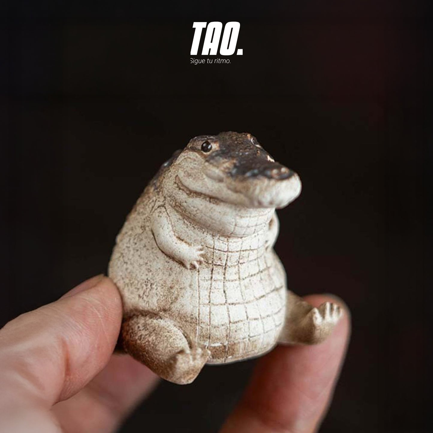 Mini cocodrilo