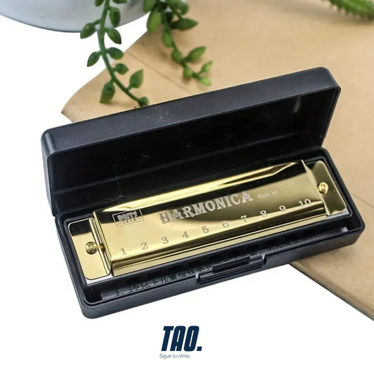 Armónica para principiantes