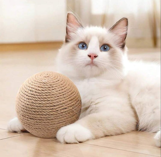 Bola de estambre para gatos