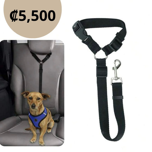 Cinturon para mascotas
