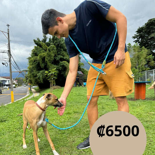 Correa para mascotas