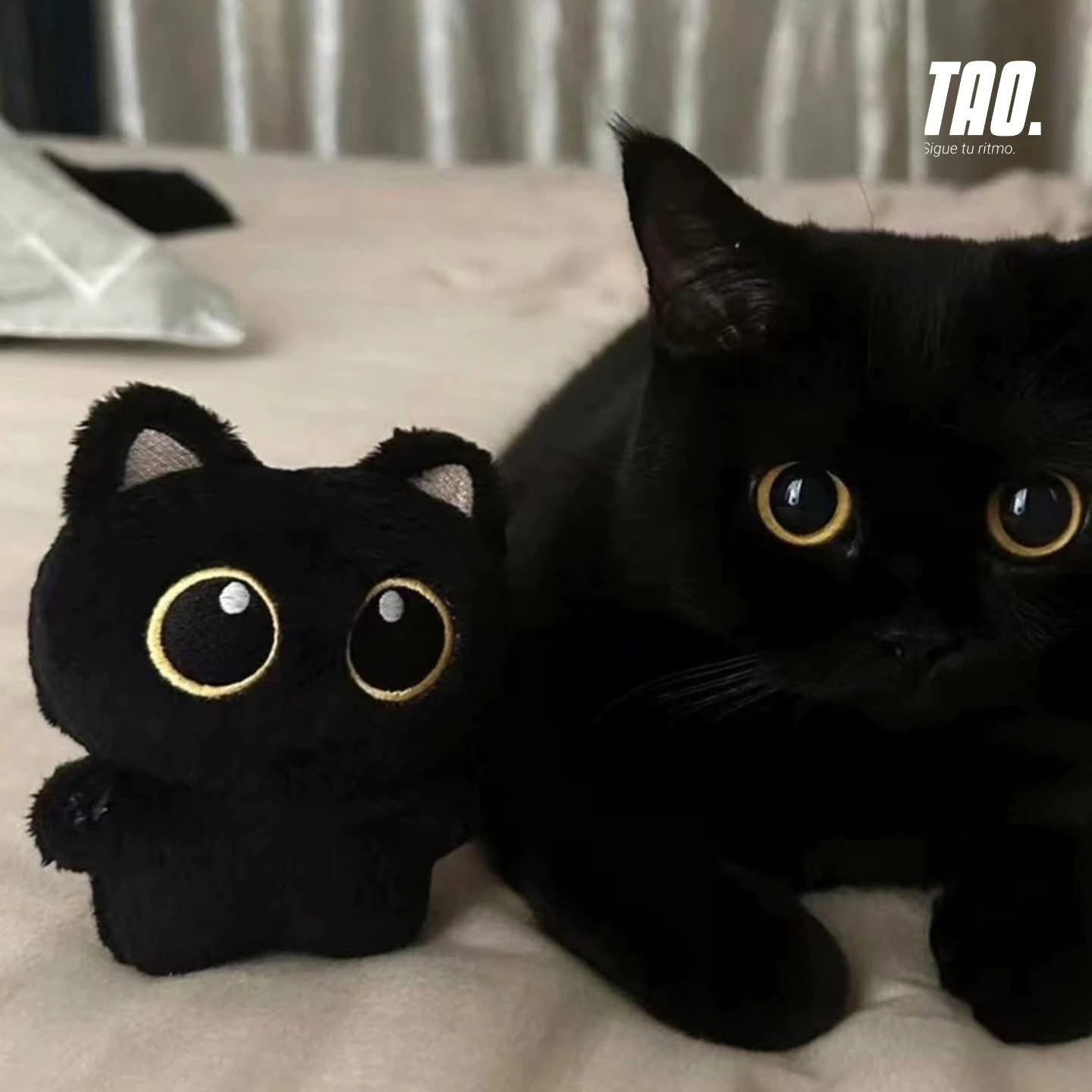 Mini peluche Gatitos negros