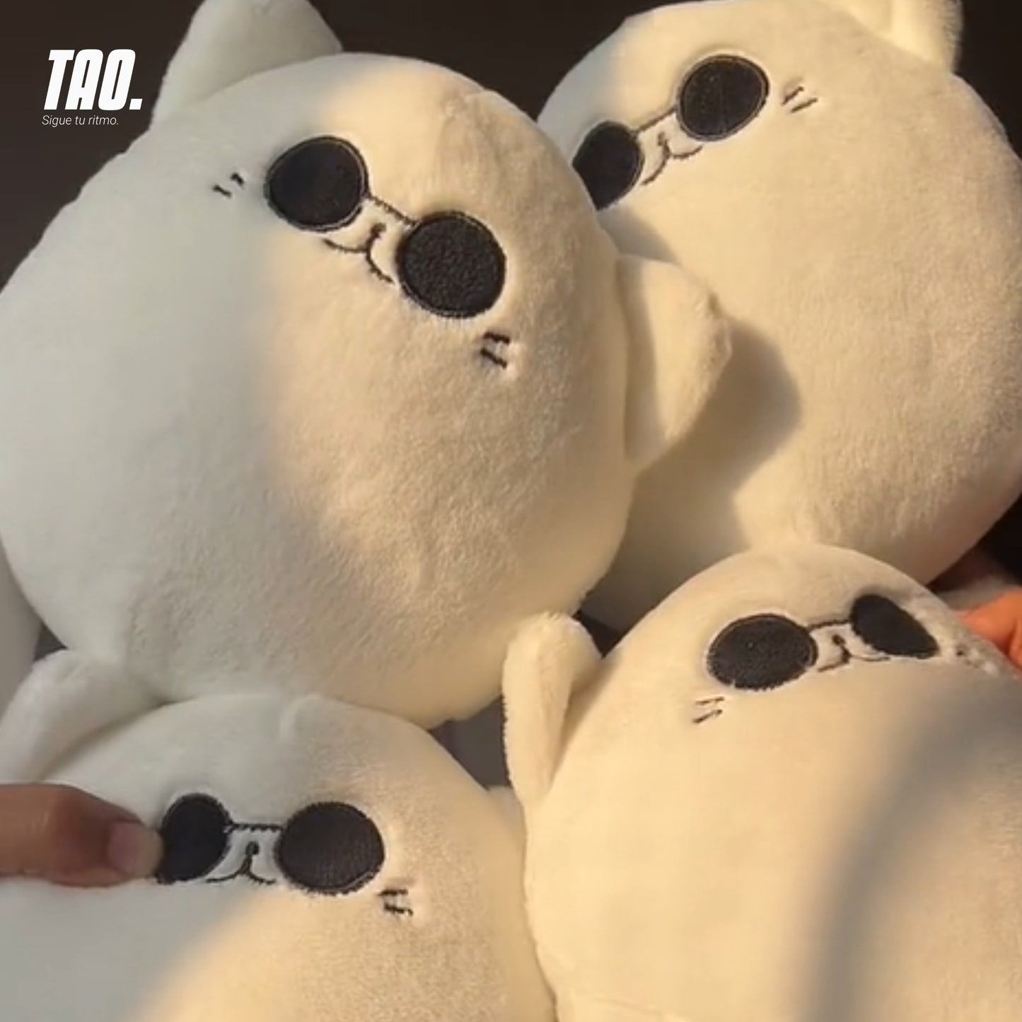 Peluche Gojo Cat