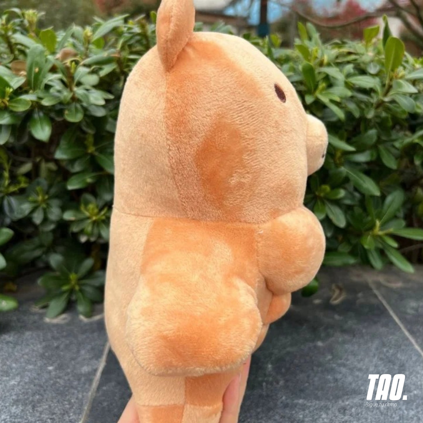 Peluche Oso musculoso