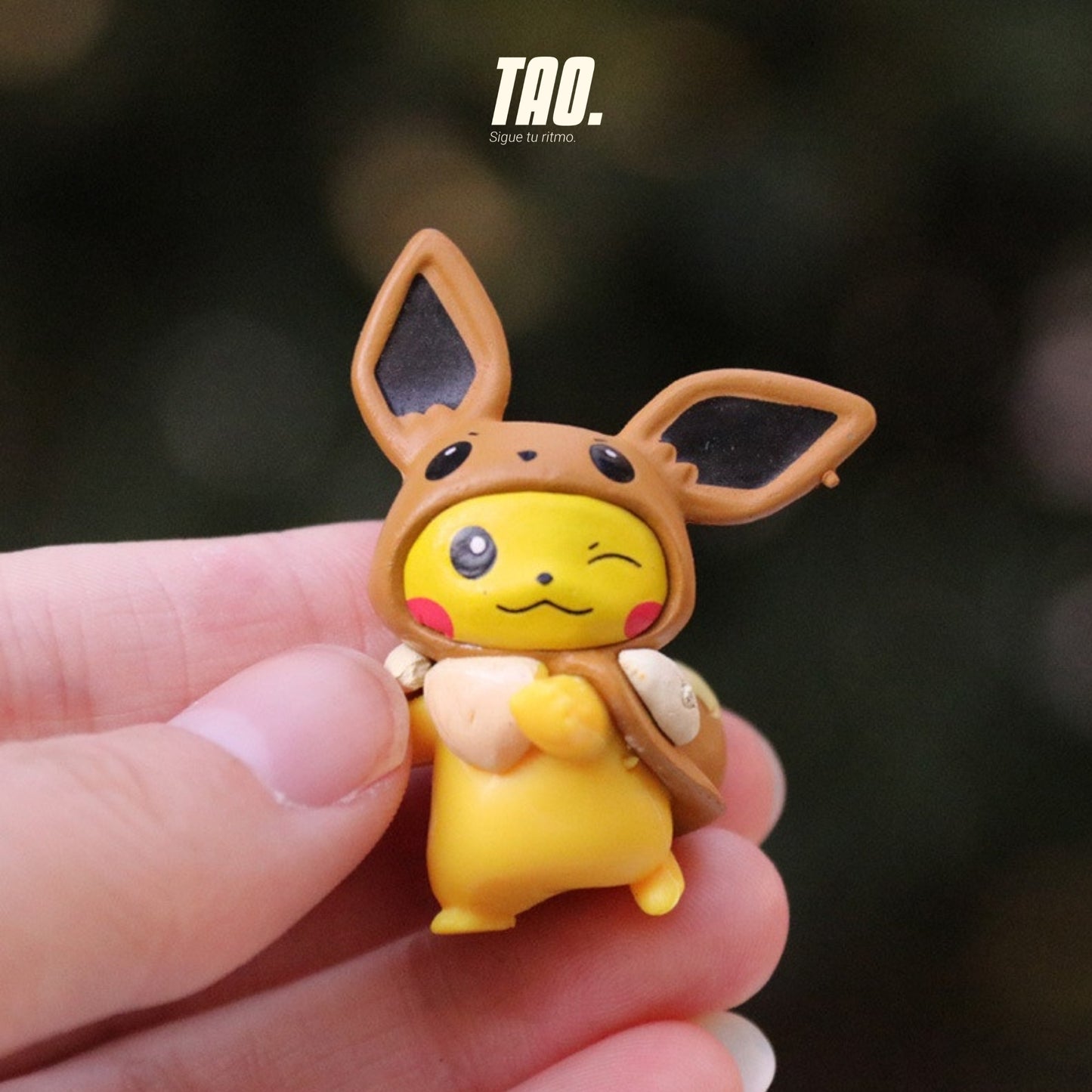 Set figuras Pokémon