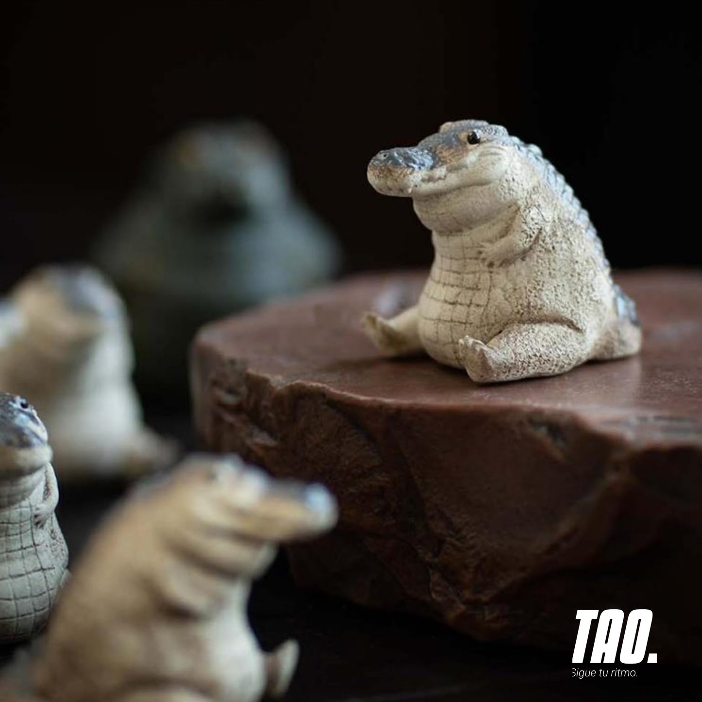 Mini cocodrilo