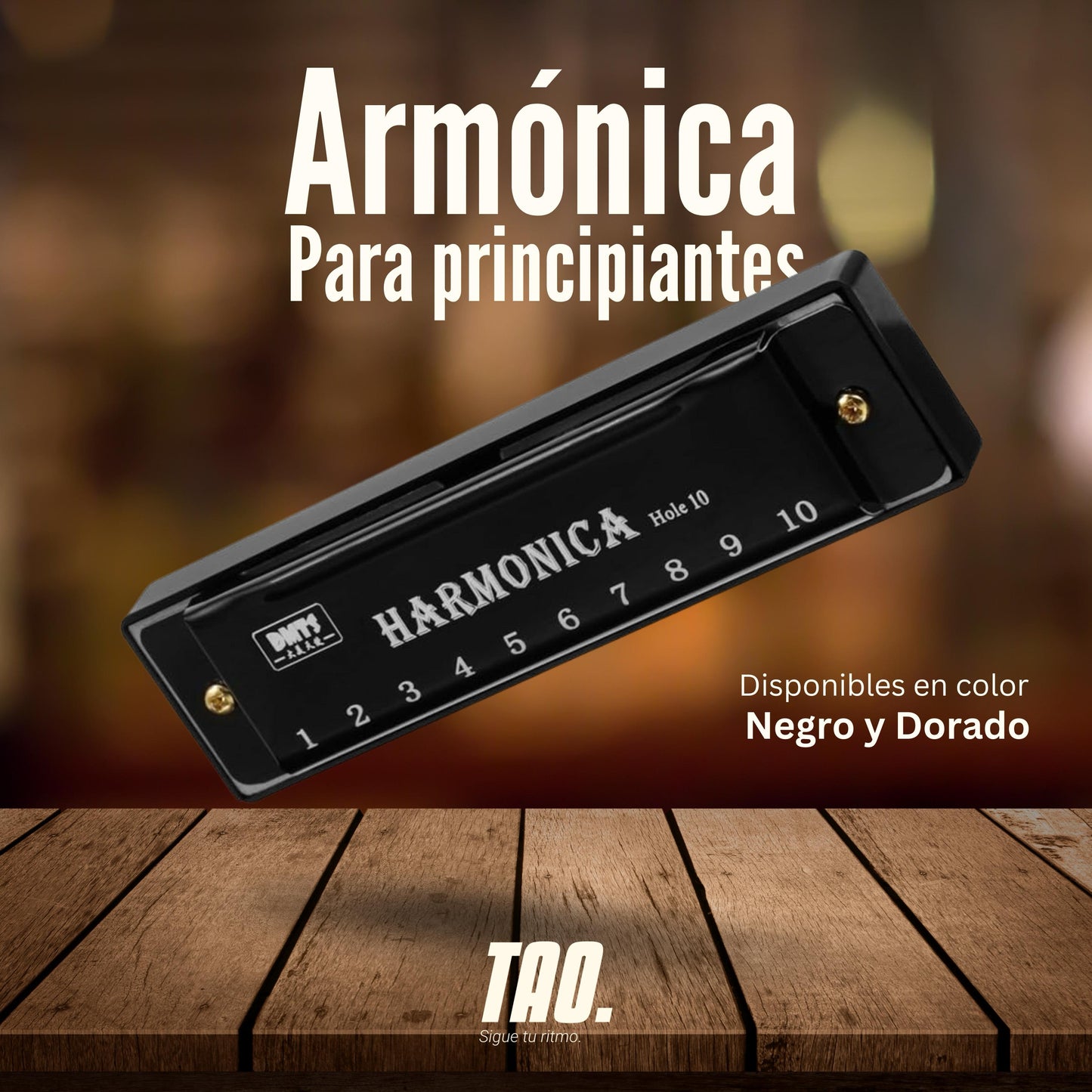 Armónica para principiantes