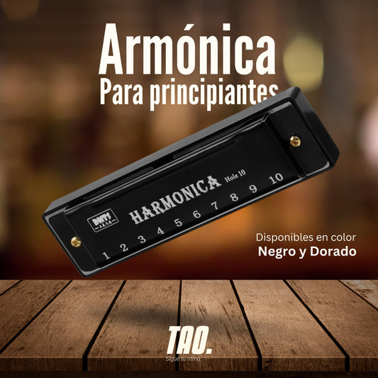 Armónica para principiantes